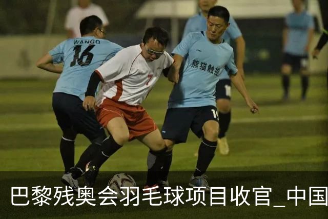 巴黎残奥会羽毛球项目收官 中国队斩获9金2银1铜